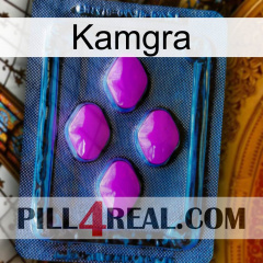 Kamgra 04